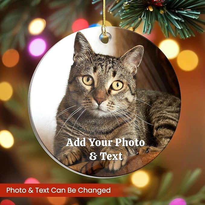 Personalized Cat Ornament, Custom Acrylic Ornaments with Photo - Keepsake Gifts for Christmas, Cat Parents, Kitten Lovers