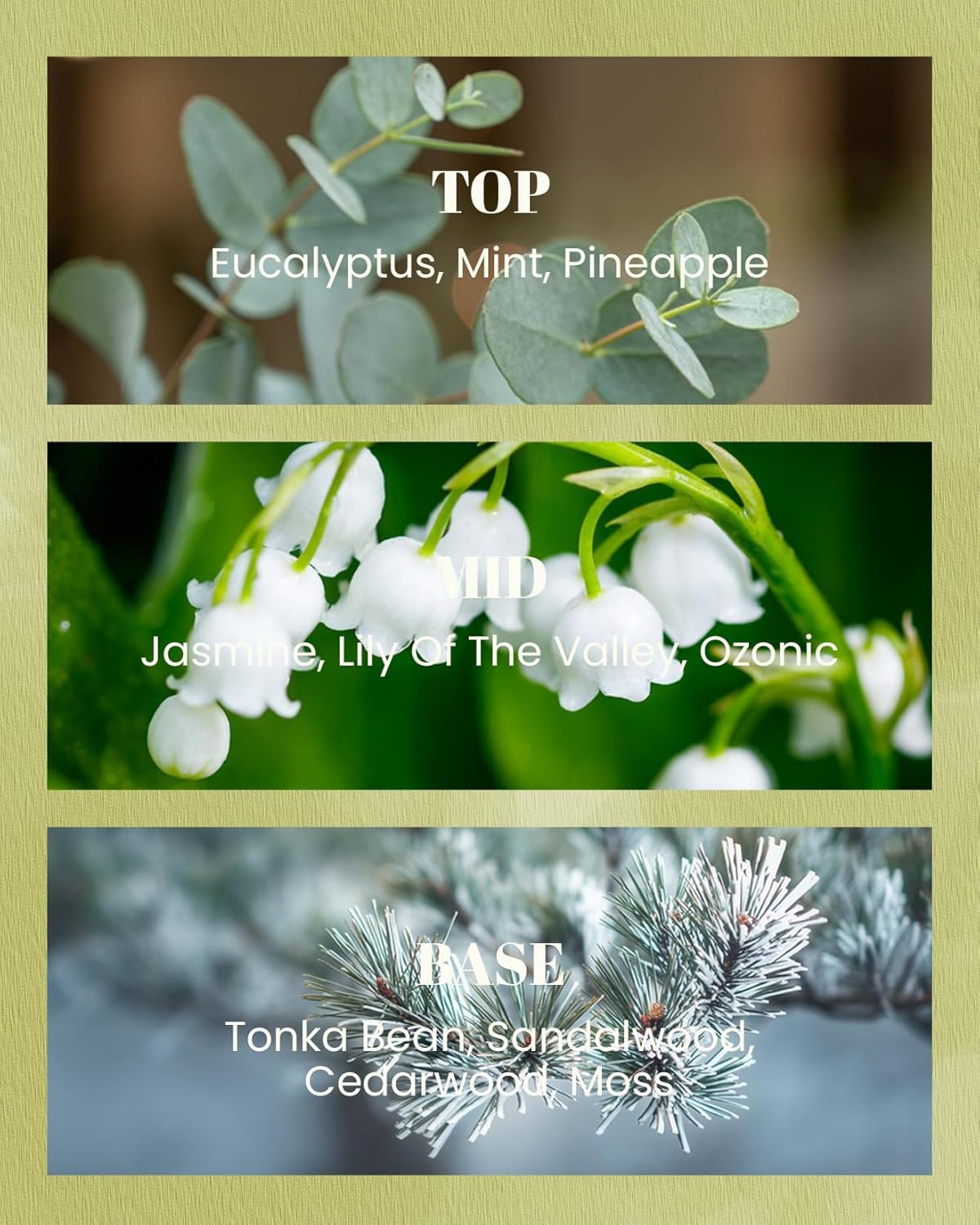 M&SENSE Eucalyptus Mint Scented Vegan Soy Candles, Heavy Scented, 10oz Long Burning 42-Hour Burn Time,Home Fragrance for Stress Relief, Calming, Meditation, Housewarming Gift for Women and Men