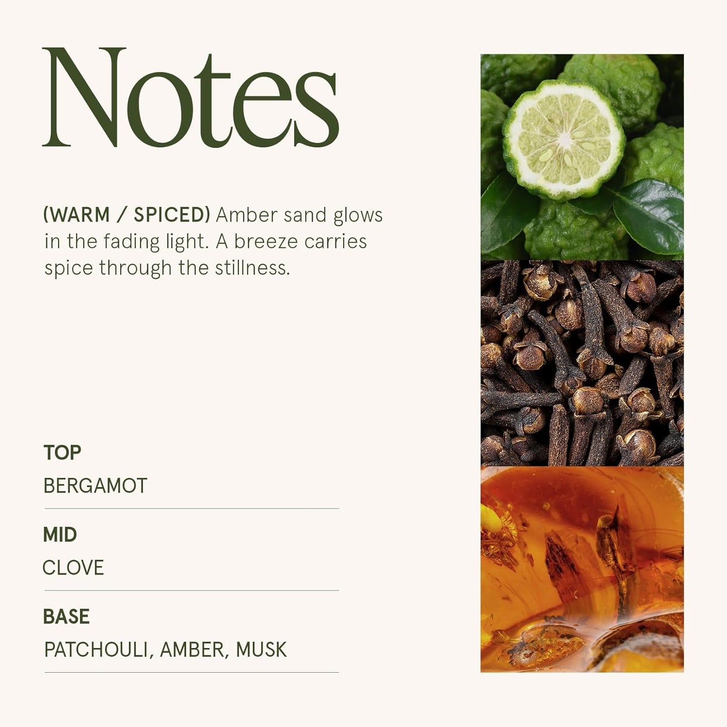 LA JOLIE MUSE Fall Candle | Sahara Amber Candle – Bergamot, Clove & Amber | 19 oz Wooden Wick | Natural Soy Wax | 90 Hours Clean Burn | Gift-Ready for Cozy Nights | Elevated Fall Décor