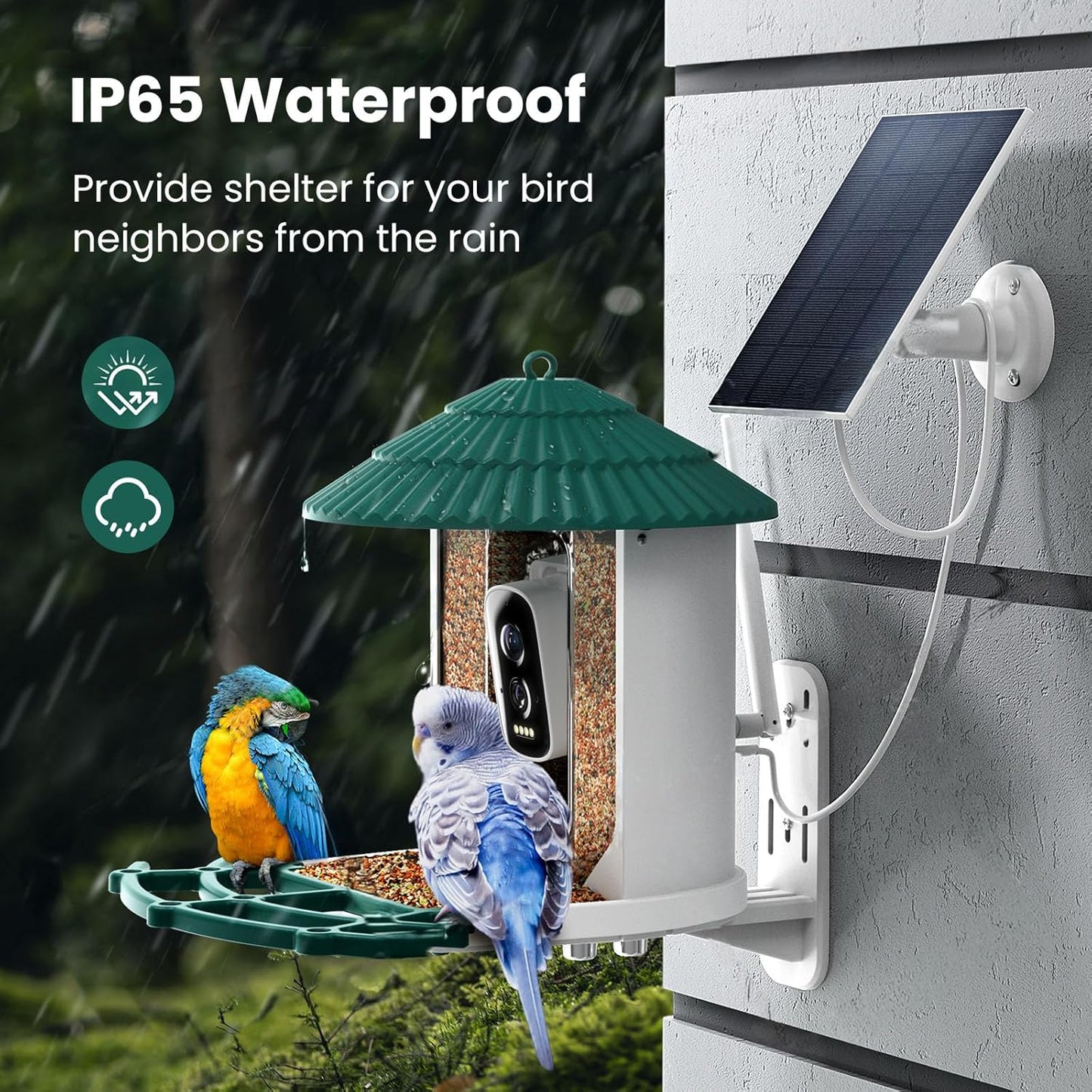 Bird Feeders for Outdoors, Smart Bird Feeder with Camera Solar Powered, AI Species Identification, 3K Video Live Stream Camera, 5Mp HD Night Vision, Instant Arrival Alerts (Light Green)